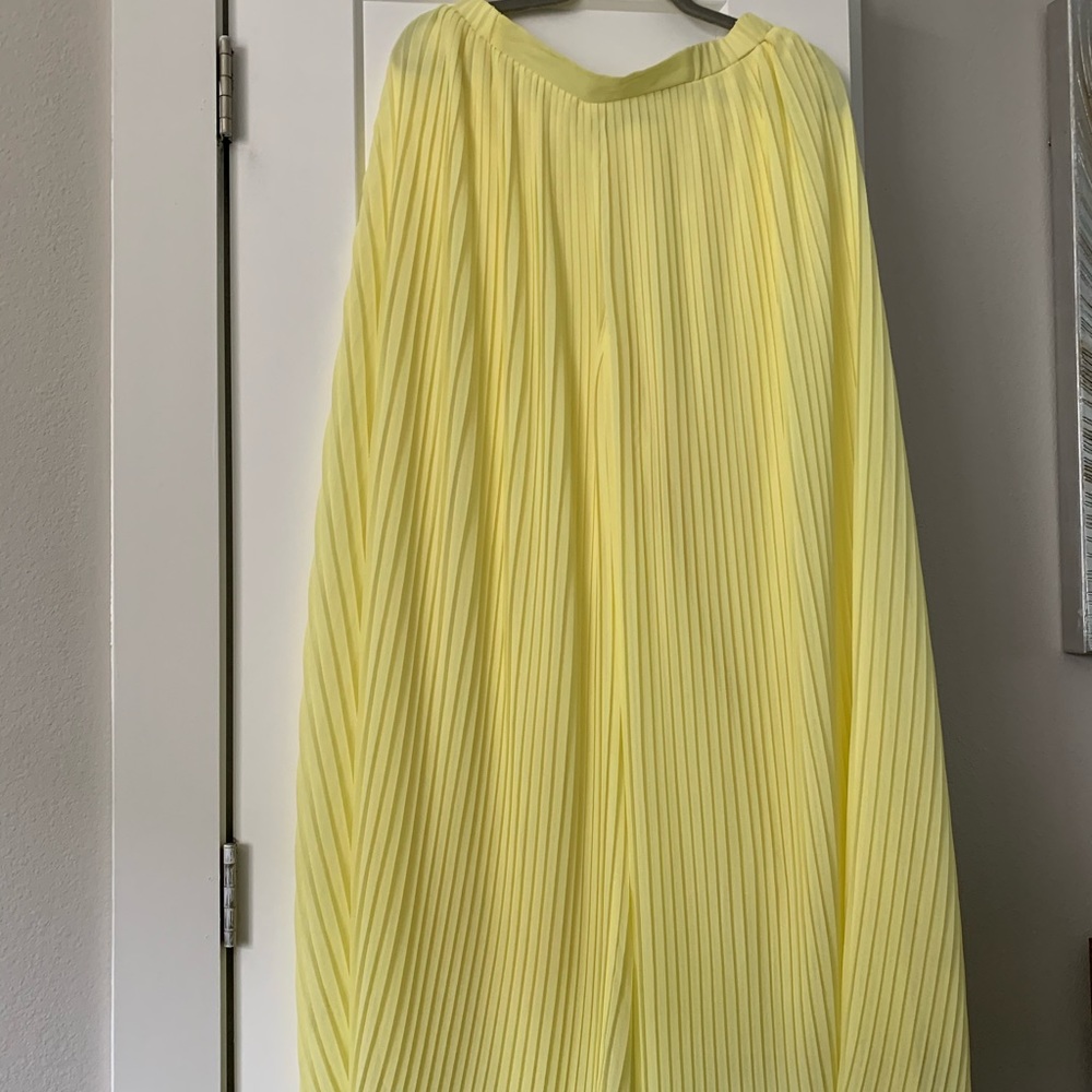 Zara Pleated Palazzo Pants